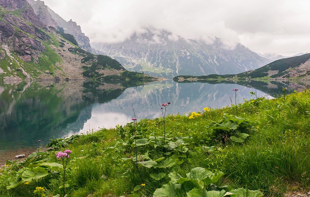 Photograph by Ольга