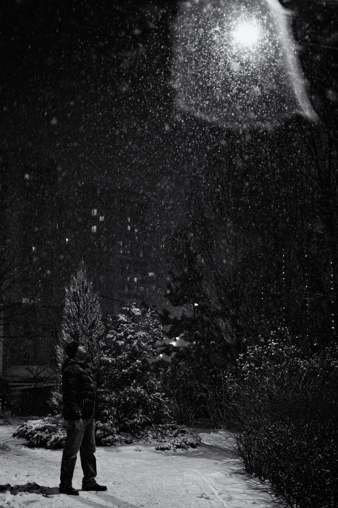 Photograph by Александра Стрелец