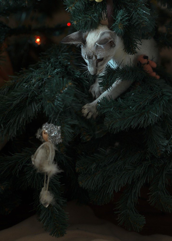 Photograph by Наталья Цуканова