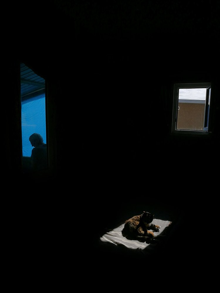 Photograph by Тамара Морозова