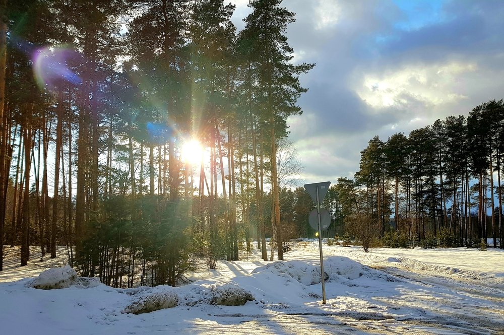 Photograph by Артём Федосенко