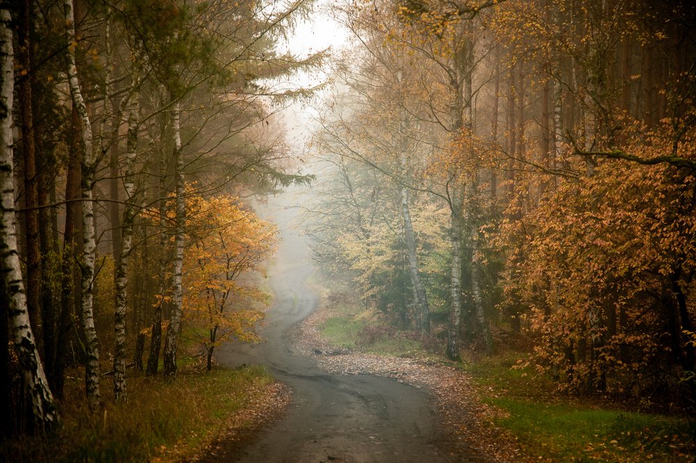 Photograph by  MiroM