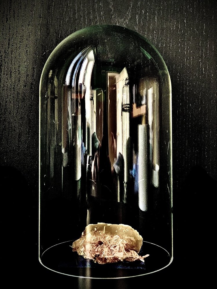 Photograph by Julia Jaeger