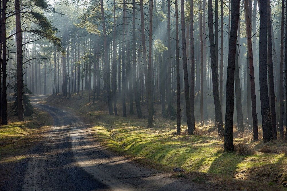 Photograph by  MiroM