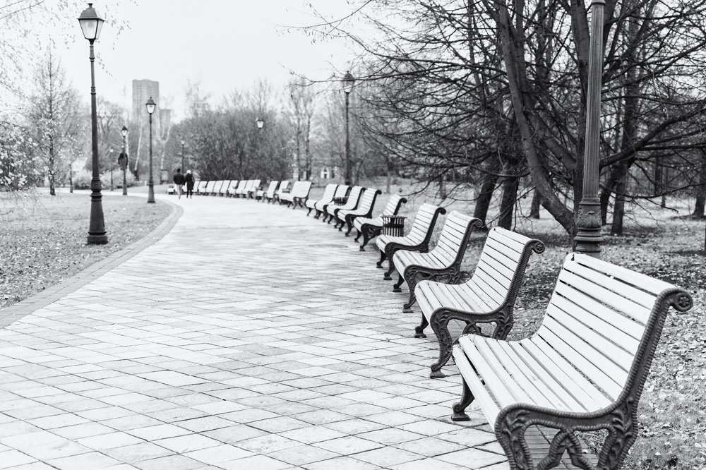 Photograph by Александра Стрелец