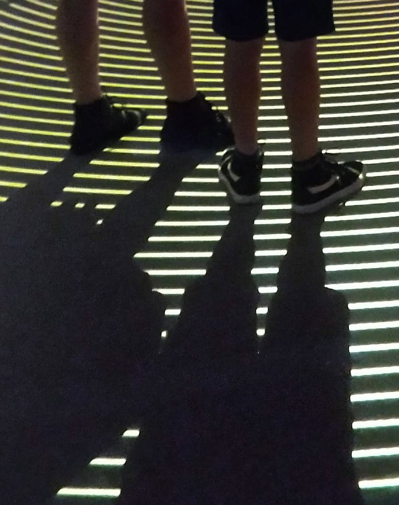 Photograph by Tatiana Barthem