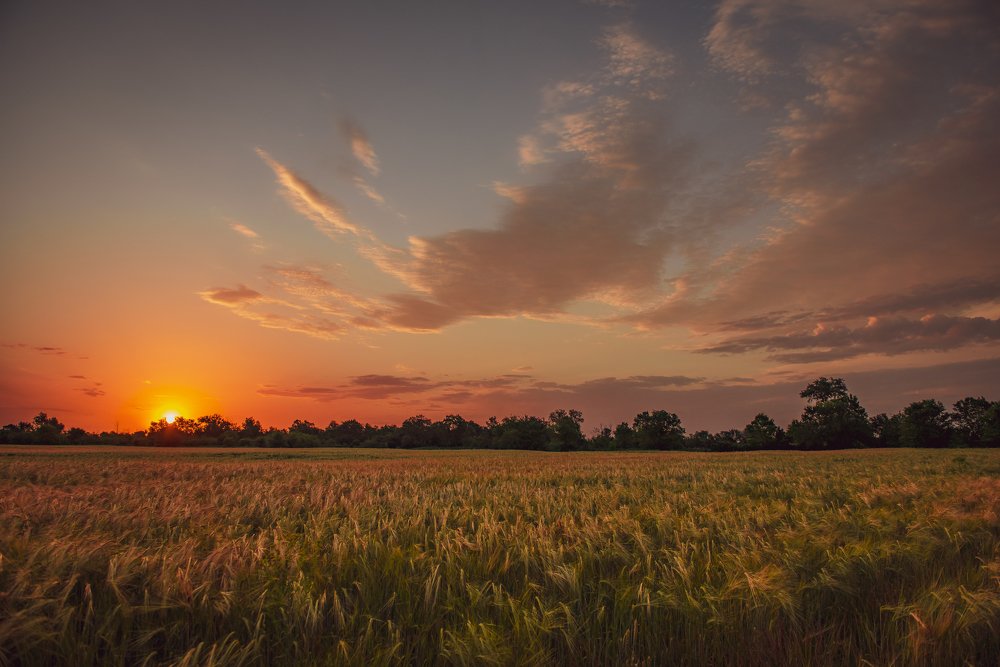 Photograph by ЕВГЕНИЙ РУДЕНКО