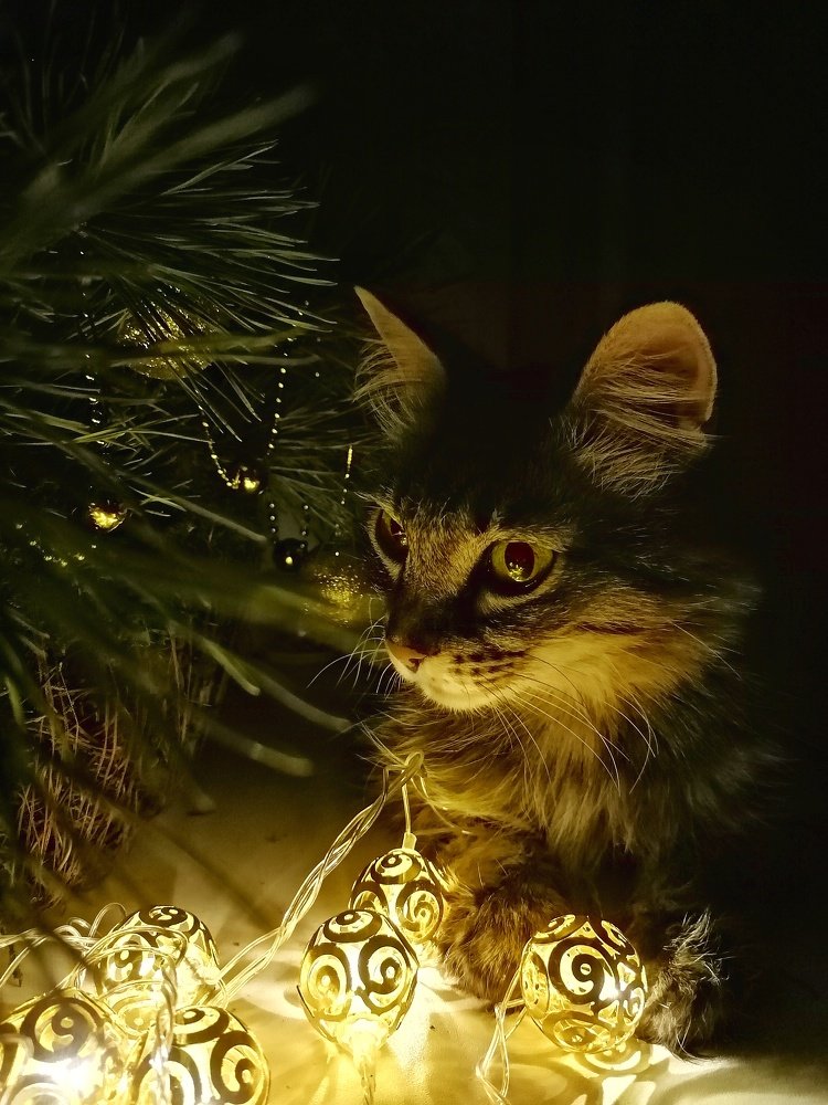 Photograph by Оксана Шевченко