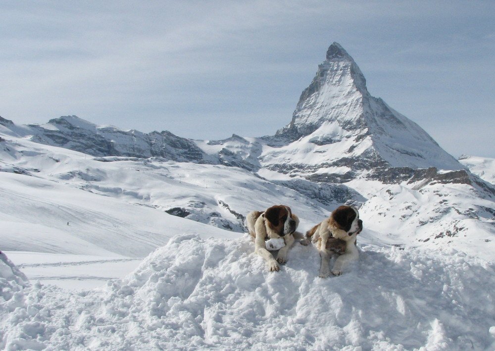 Photograph by Игорь