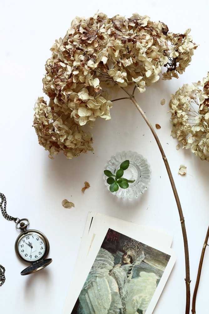 Февраль (без 5-ти минут весна)