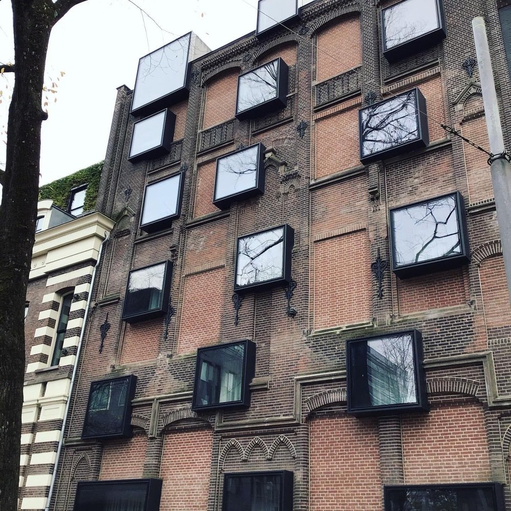 branches in building