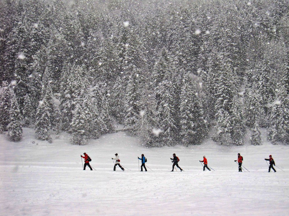На лыжне