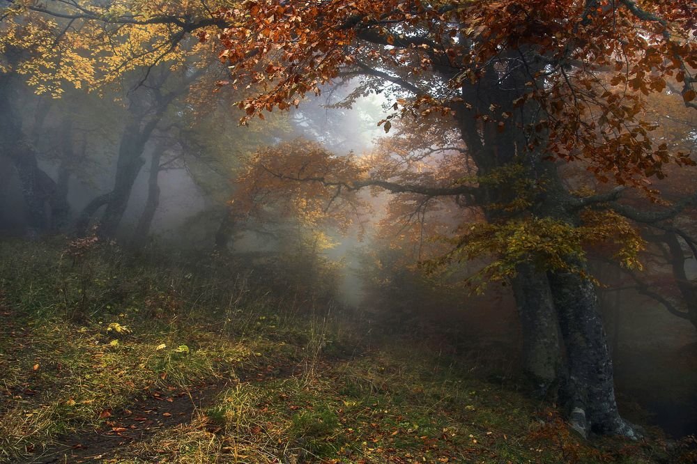 Фотография автора Милокост Алексей