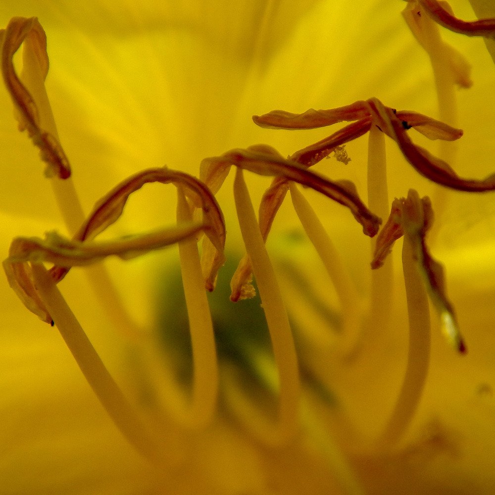 Photograph by Mihaela Ciobanu