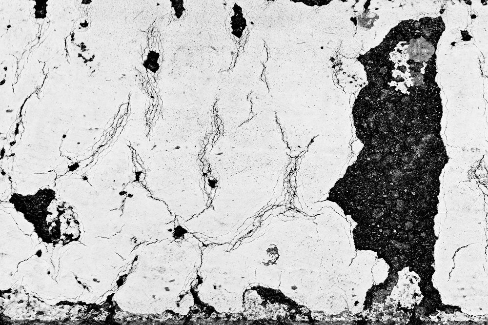 Photograph by Daina Burve