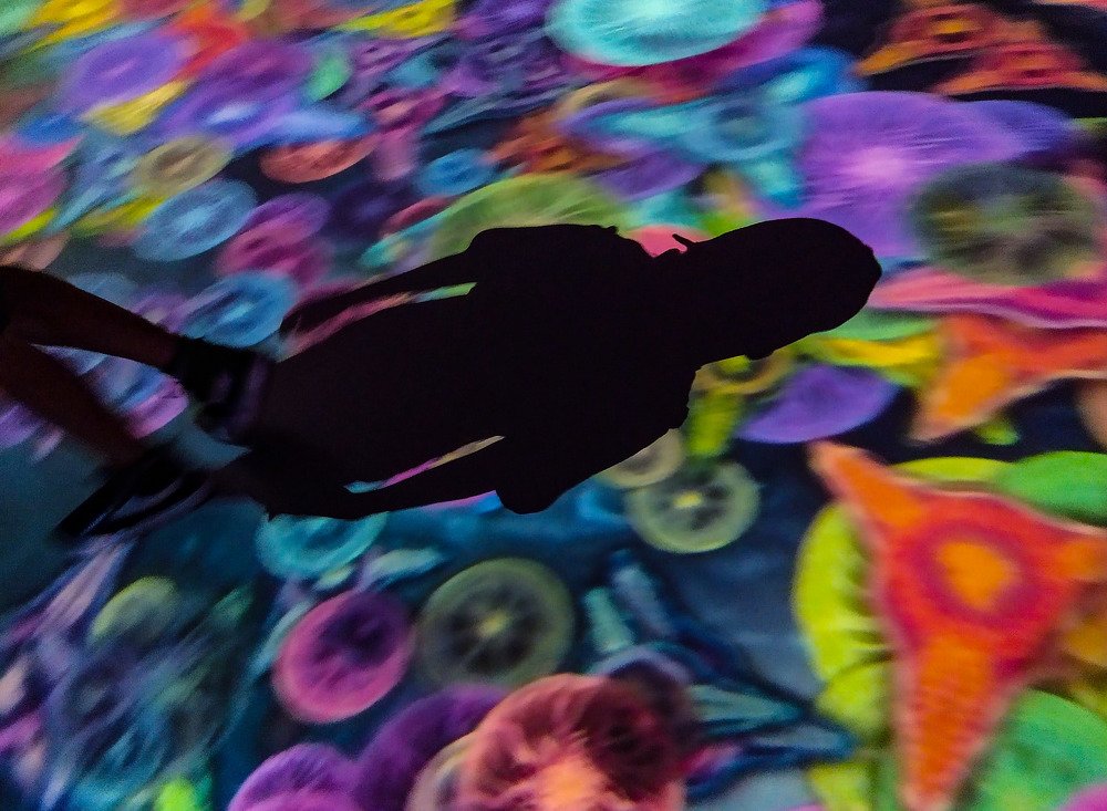 Photograph by Tatiana Barthem