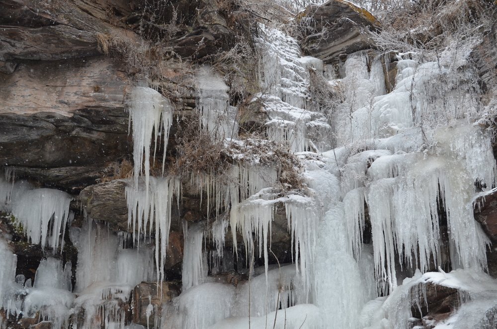 Photograph by Елена Кожевникова