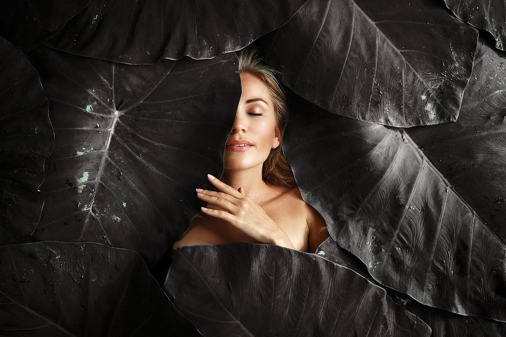 Фотография автора Дмитрий Шешуков