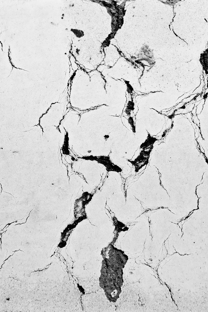 Photograph by Daina Burve