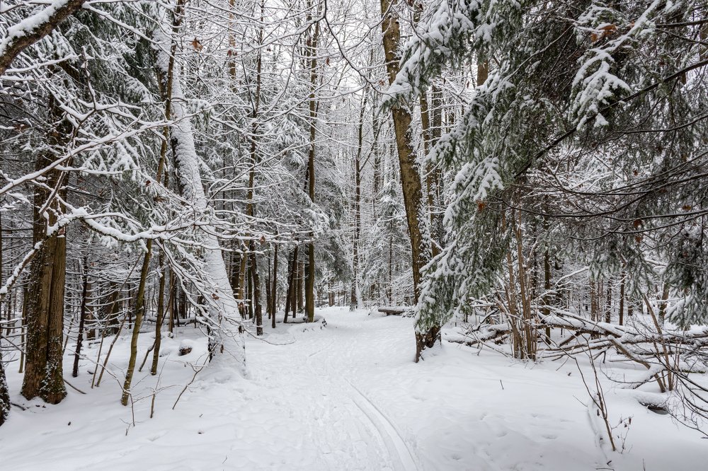 Photograph by Валерий Петухов