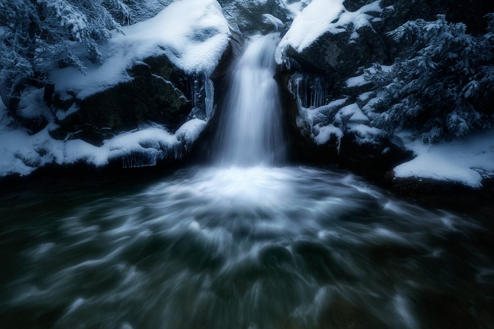 Photograph by Prince