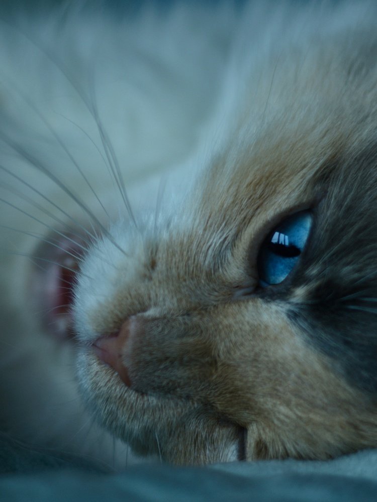 Photograph by Юлия Марфонова