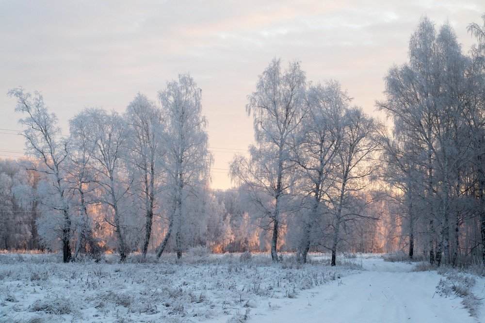 Photograph by Евгения Антропова