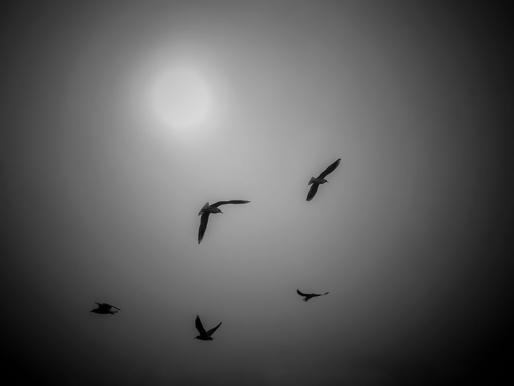 Photograph by Лариса Когтева