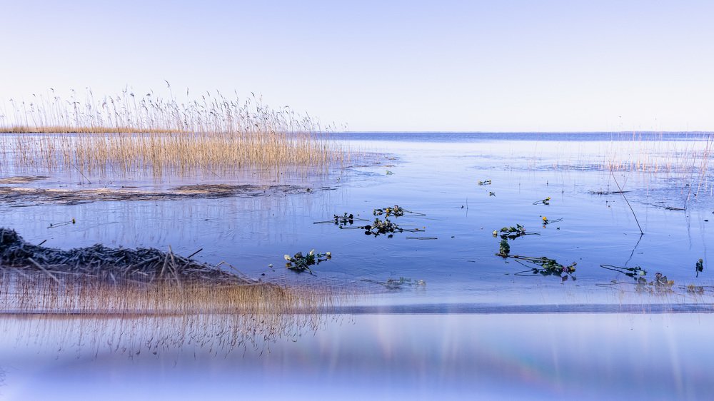 Photograph by Silja Tamme