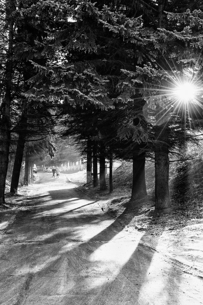 Photograph by Александра Стрелец