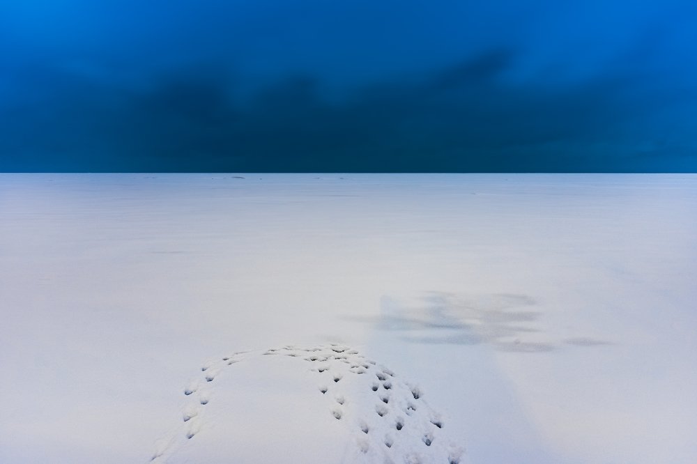 Photograph by Silja Tamme