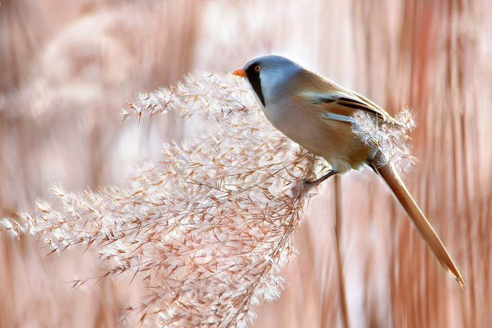 Photograph by Чернобай Анна