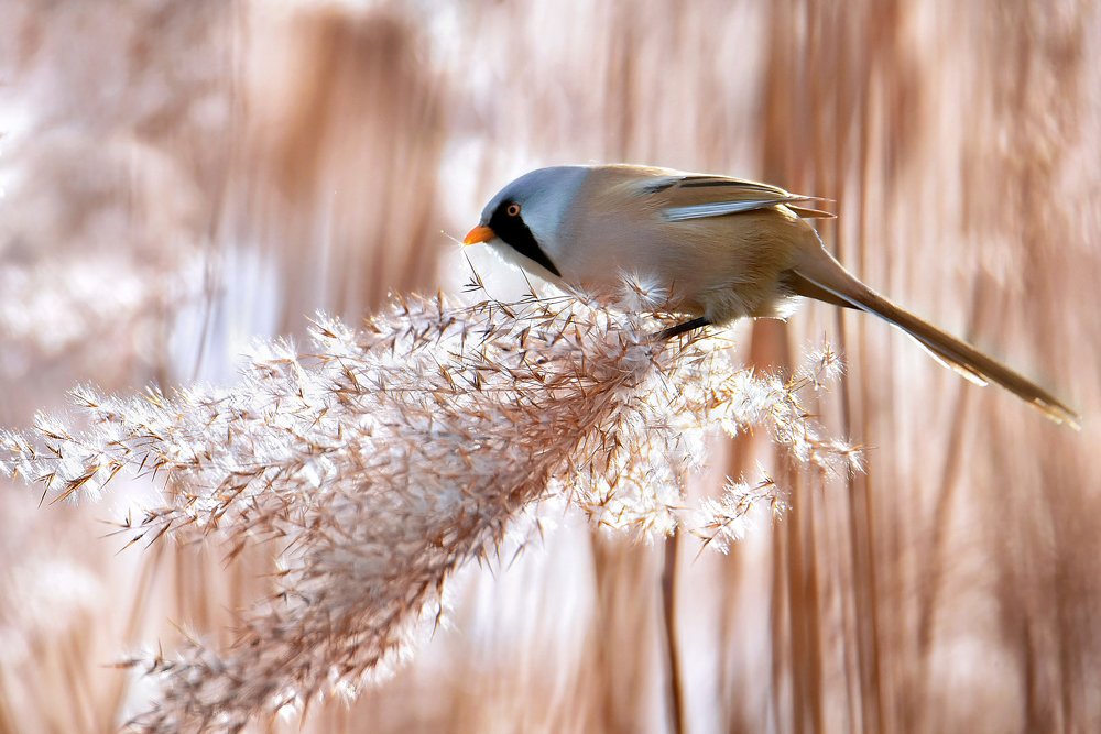 Photograph by Чернобай Анна