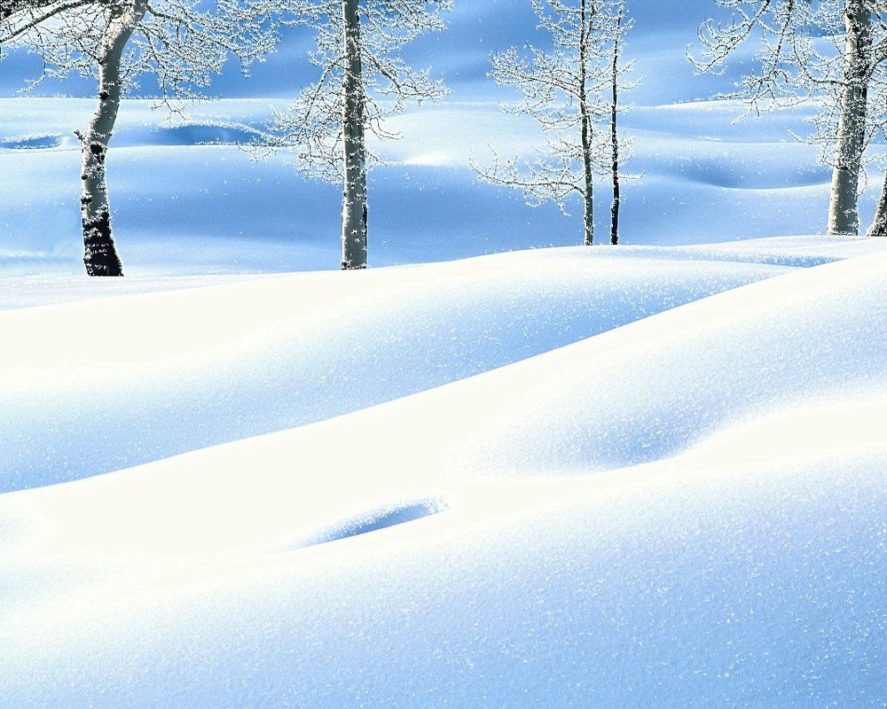 Photograph by TERESA Yurkevich