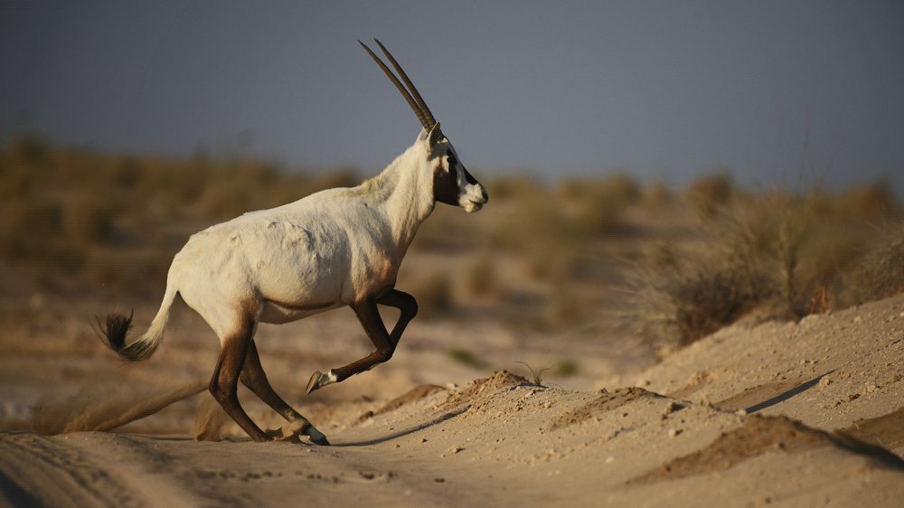 Photograph by Mukund Kumar