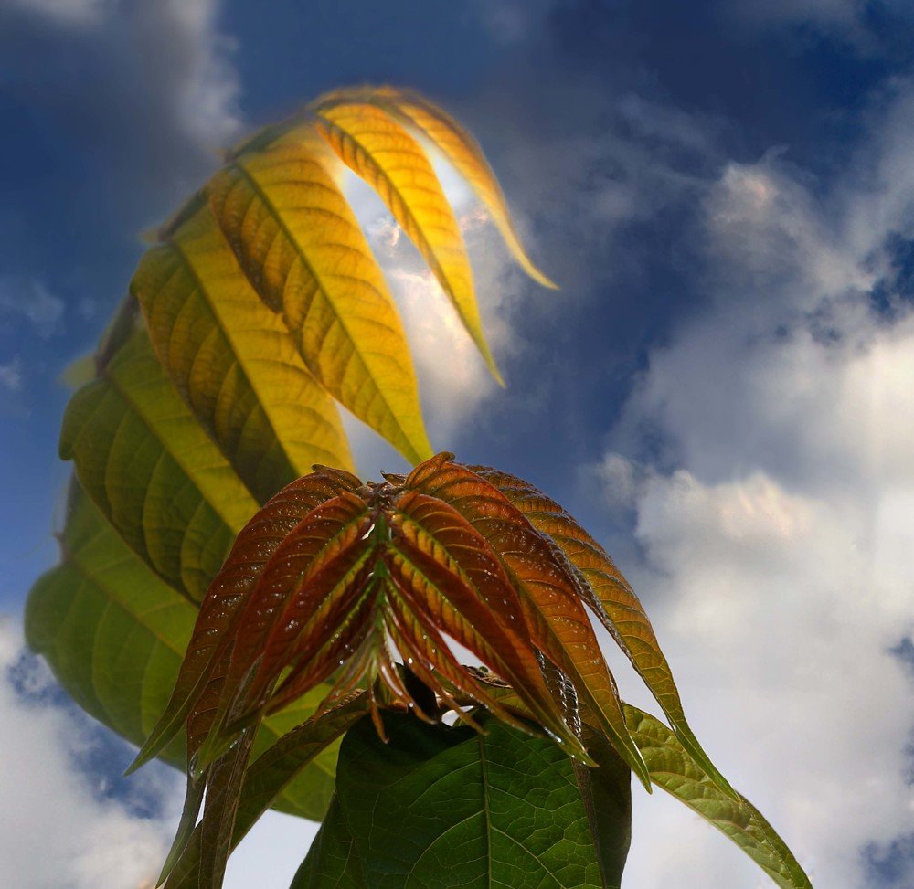 Фотография автора Tatiana Kadotschnikow