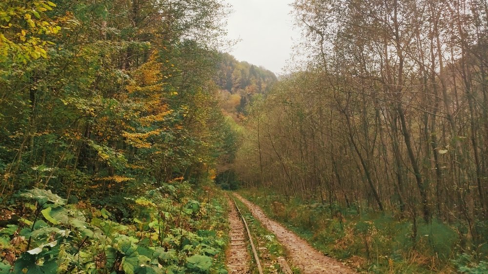 Photograph by Альбина Хамидуллина