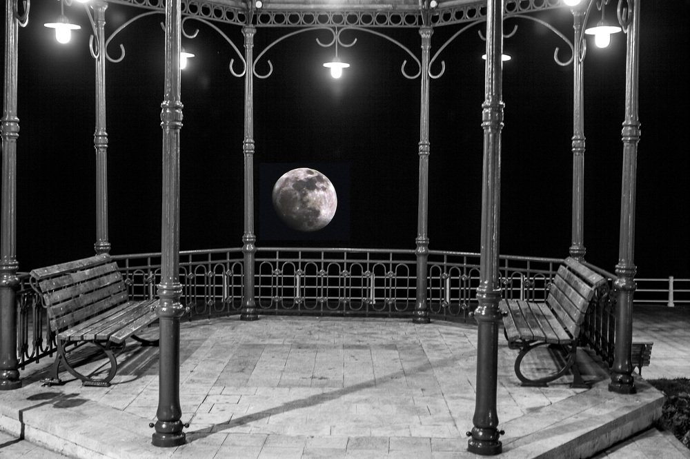 Photograph by Dragos Nedelcu