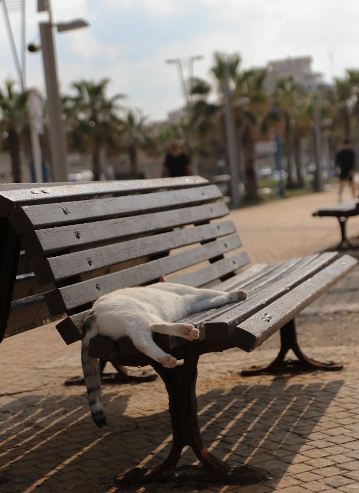 Photograph by Ирина Азимов