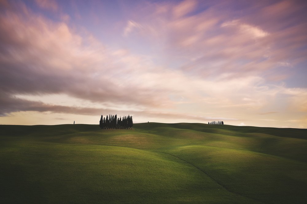 Photograph by Davide Giannetti