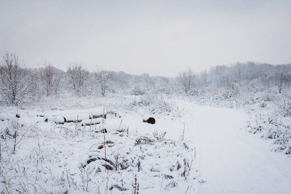 Photograph by Елена