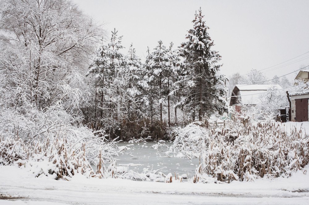 Photograph by Елена