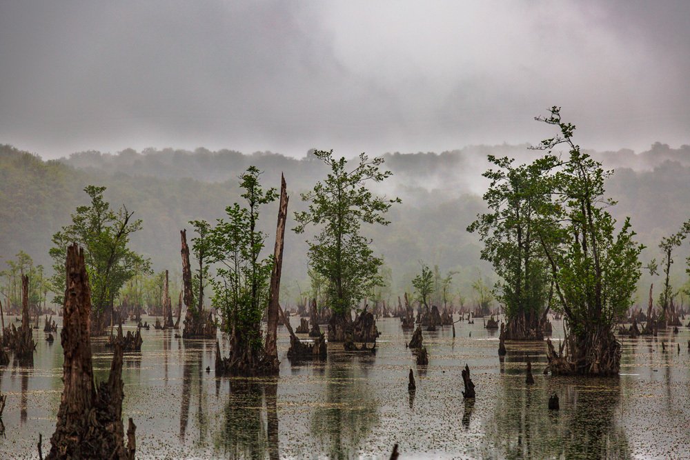 Фотография автора Ebrahim Rahiminezhad
