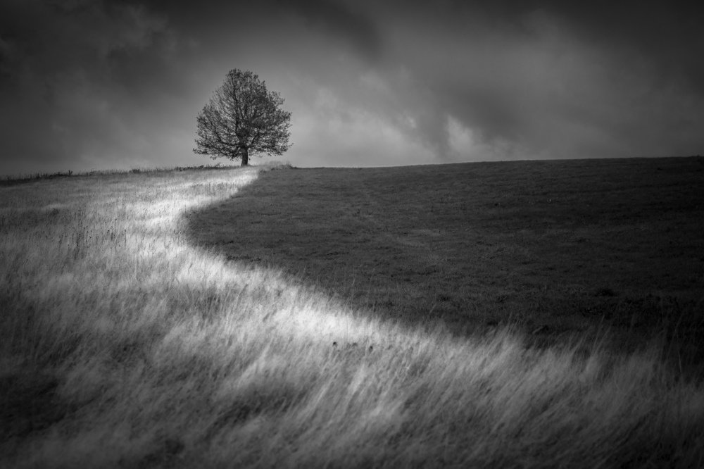 Photograph by Luboš Prchal