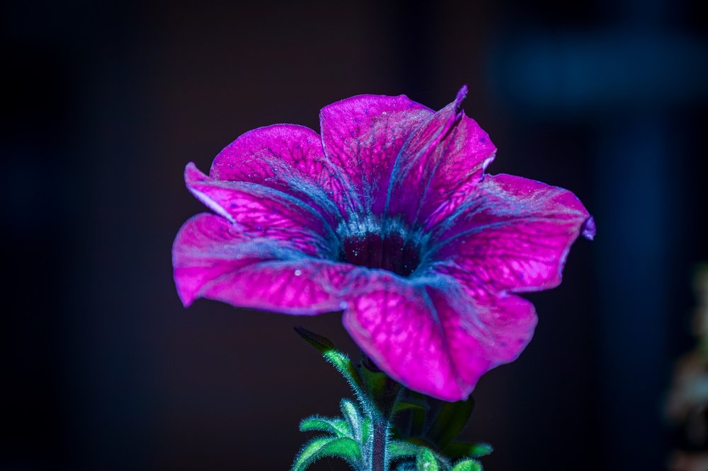 Photograph by Людмила Леонтьева