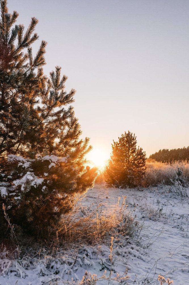 Photograph by Екатерина Аксёнова