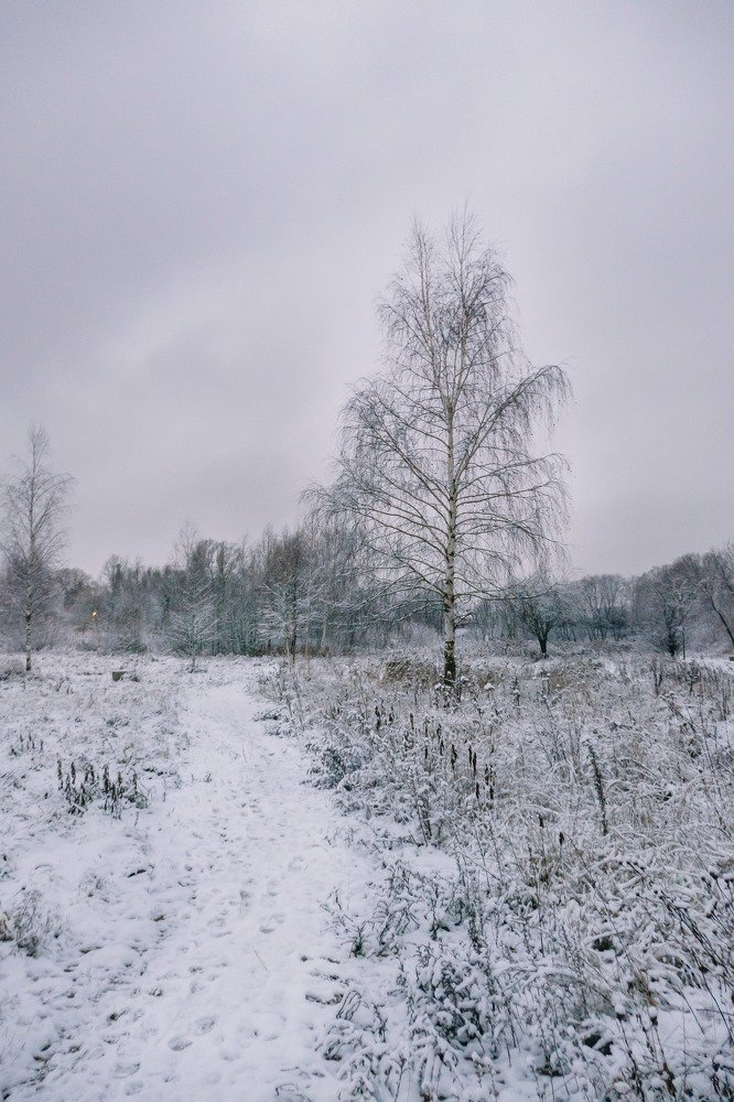 Photograph by Екатерина Аксёнова