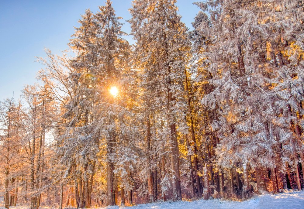 Фотография автора Leompescu Emanuel