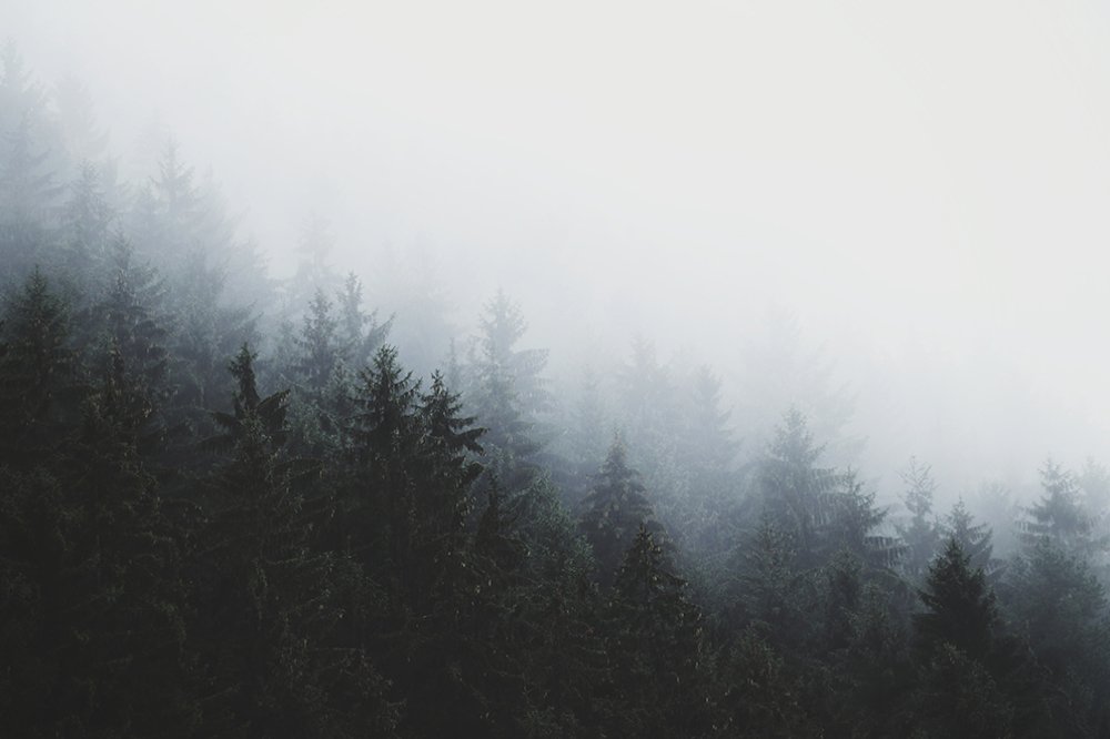 Photograph by Atefeh akbari