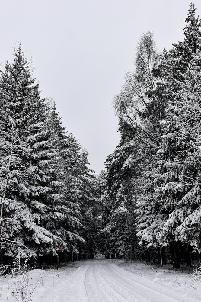 Photograph by Людмила Леонтьева